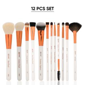 Recode Brush 12-pcs Set with Premium Rose Gold Pouch