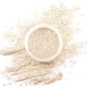 Recode Translucent Setting Powder - 12 Gms