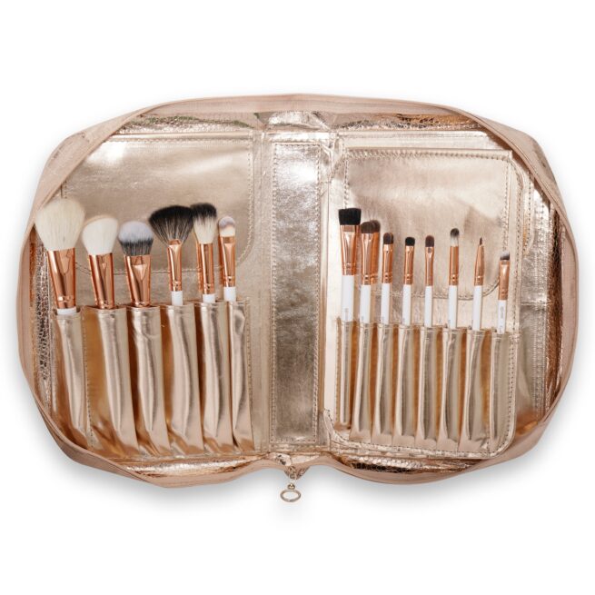 Recode Brush 17-pcs Set with Premium Rose Gold Pouch
