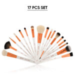 Recode Brush 17-pcs Set with Premium Rose Gold Pouch