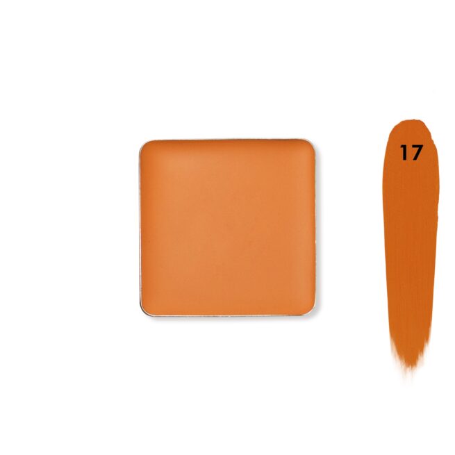 Recode Concealer Refill-3.50 G